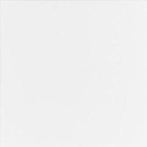 0910202568e7987f666d5.jpeg Gres Mono WM White 40x40 Mat