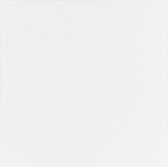 0910202568e7987f666d5.jpeg Gres Mono WM White 40x40 Mat