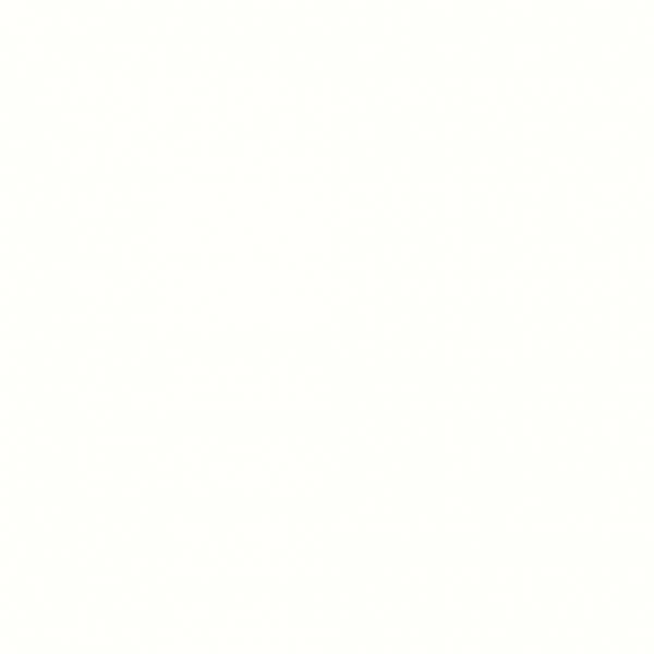 Gres Pearl Super White Lappato Alaska 60x60 Nuevo