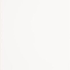 0910202568e7991095d19.jpeg Glazura Mono White 25x40 Biały Połysk Atem (1,7m²)