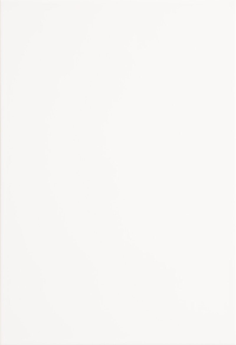 0910202568e7991095d19.jpeg Glazura Mono White 25x40 Biały Połysk Atem (1,7m²)