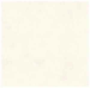 Gres Atlas White 40x40 Gat.I Atem