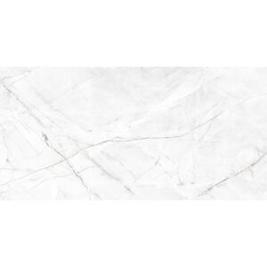 Gres Royal Valencia Silver Grey 60x120x8mm Rect (1,44) Carving Egen