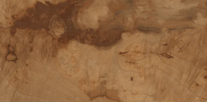 Gres Birchwood 60x120x9mm Rect. (1,44) Structure Egen